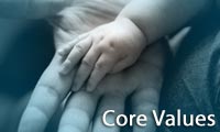values-customer-centricity-financial-discipline-process-improvement-organizational-innovation